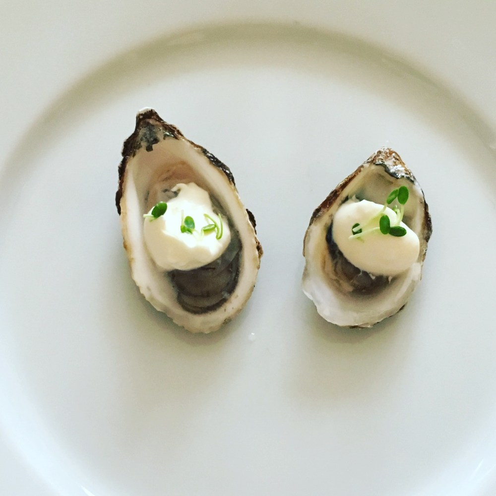 raw-oysters